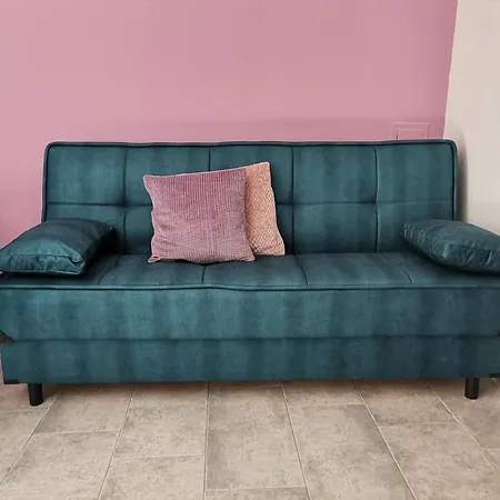 Freedom ホームステイ